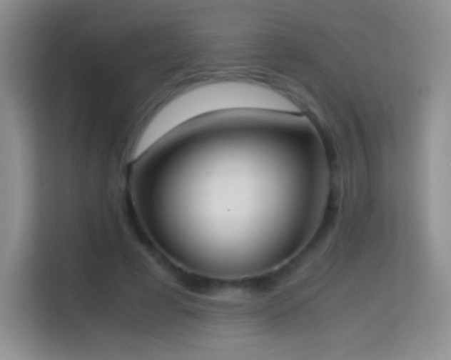 X0000114680593200910211212