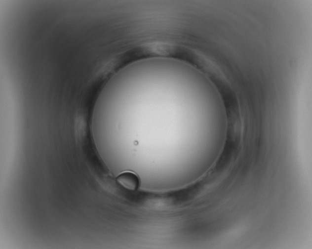 X0000114680595200910211212