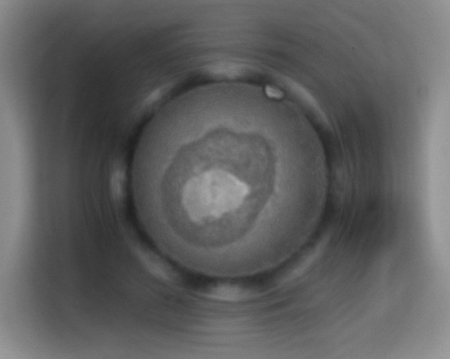 X0000114680596200910211212