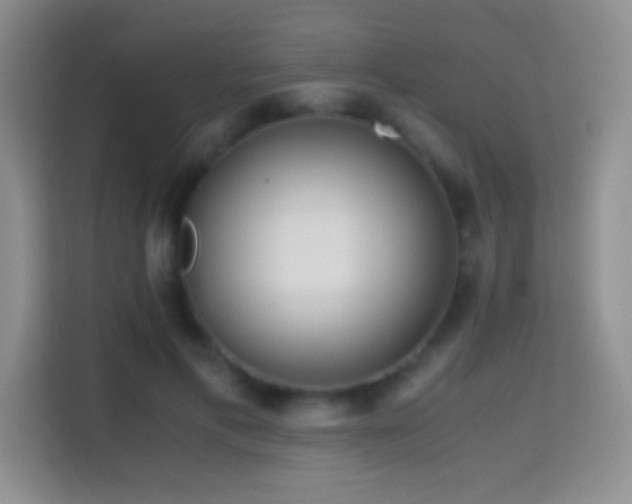 X0000114680597200910211212