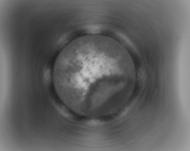 X0000114680598200910211212