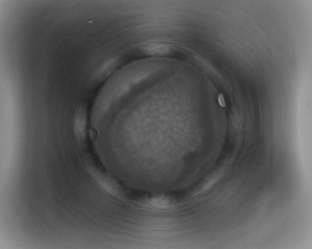 X0000114680600200910211212