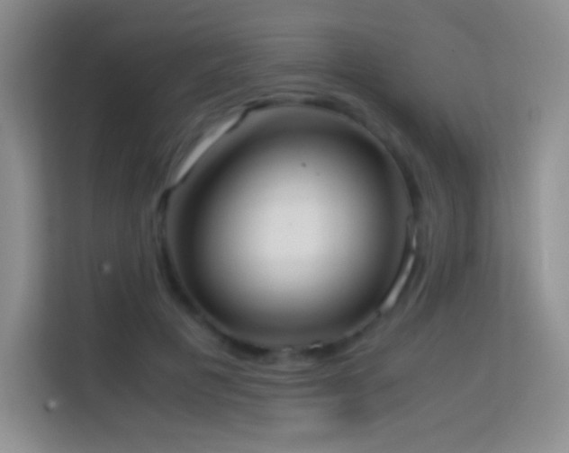 X0000114680601200910211212