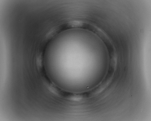 X0000114680604200910211212