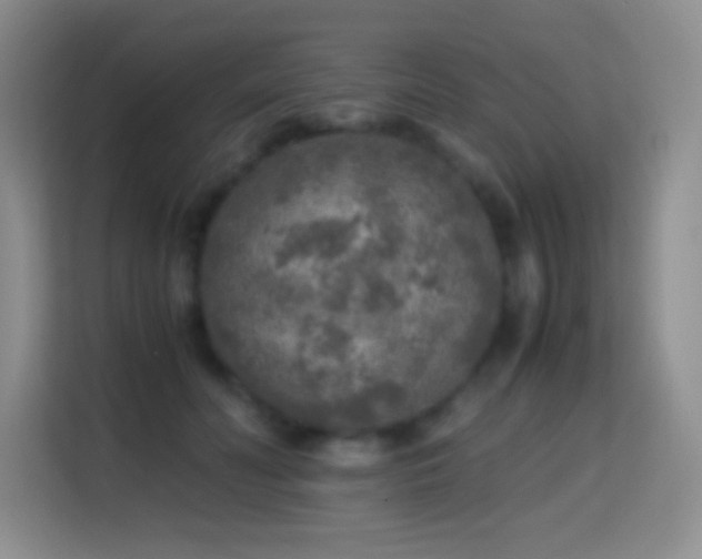 X0000114680606200910211212