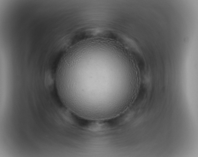 X0000114680607200910211212