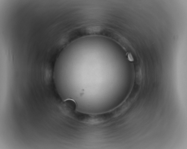 X0000114680608200910211212