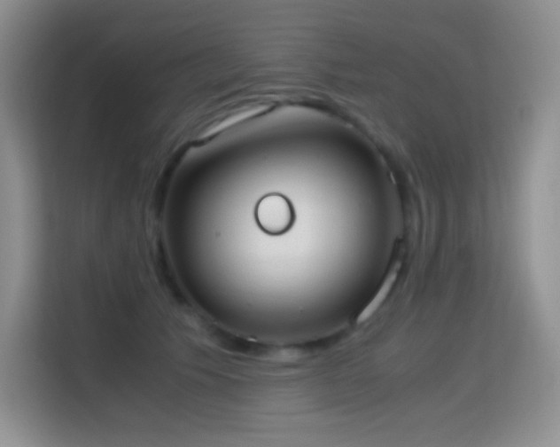 X0000114680609200910211212