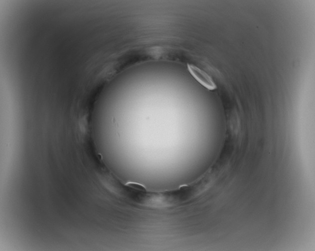 X0000114680611200910211211