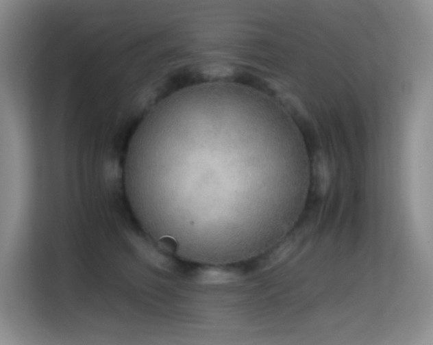X0000114680614200910211211