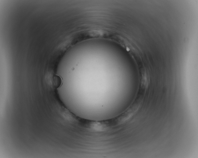 X0000114680616200910211211