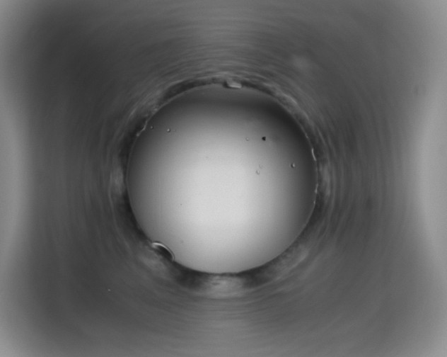 X0000114680617200910211211