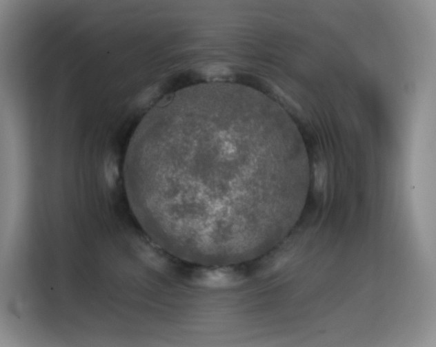 X0000114680618200910211211