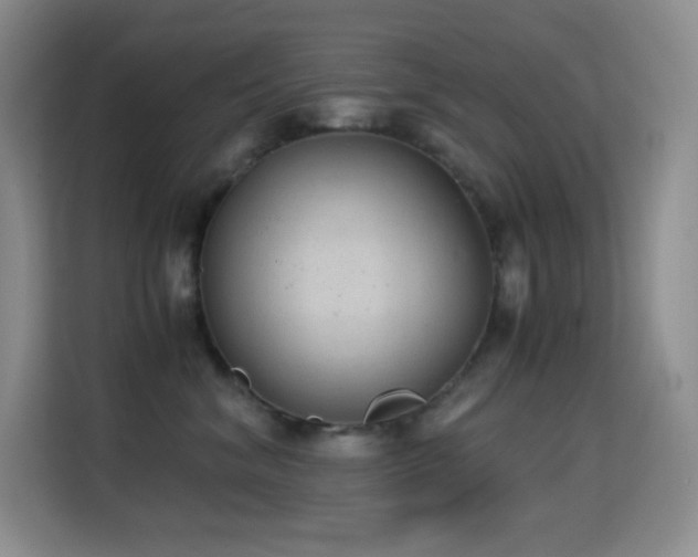 X0000114680620200910211211