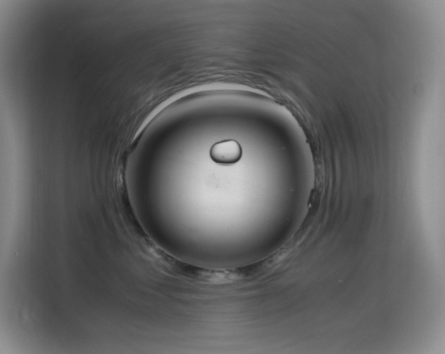 X0000114680621200910211211