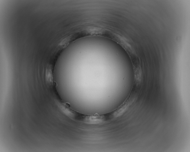 X0000114680622200910211211