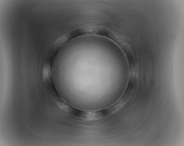 X0000114680623200910211211