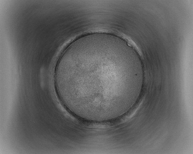X0000114680625200910211211