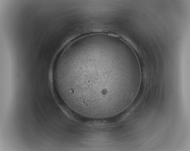 X0000114680626200910211211