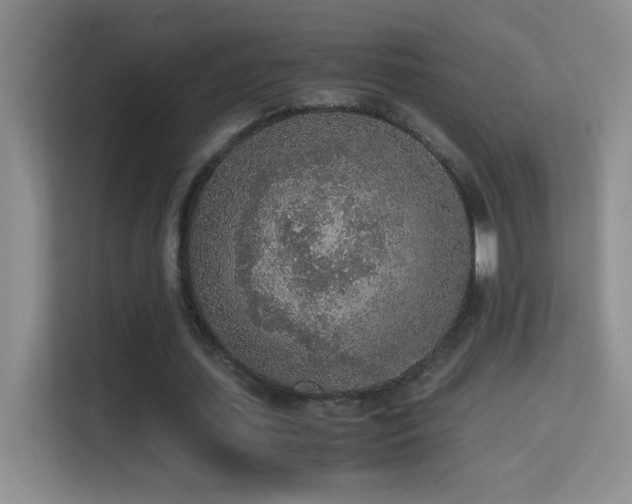 X0000114680627200910211211