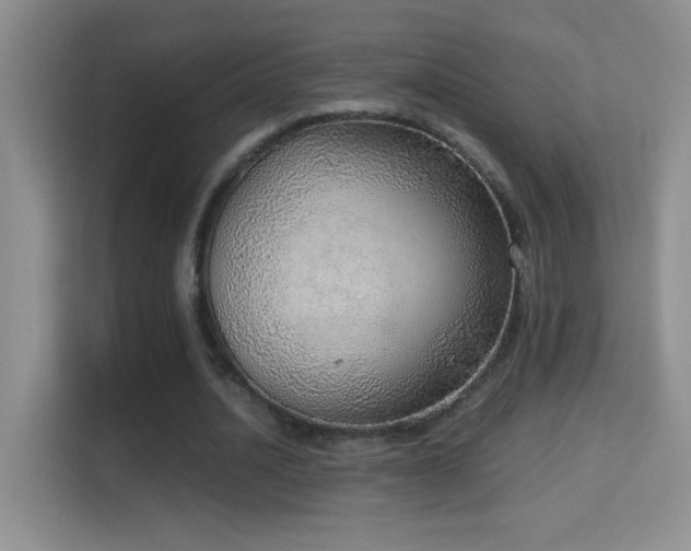 X0000114680628200910211211