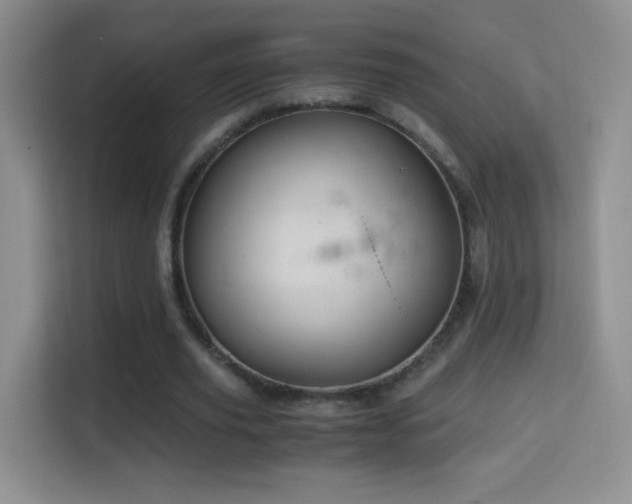 X0000114680629200910211211