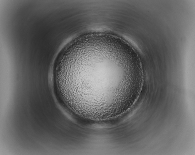 X0000114680630200910211211