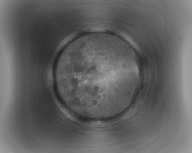 X0000114680634200910211211