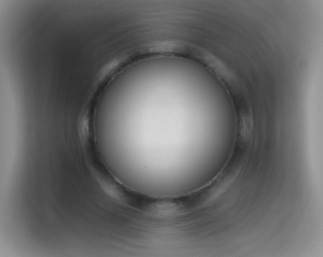 X0000114680636200910211211