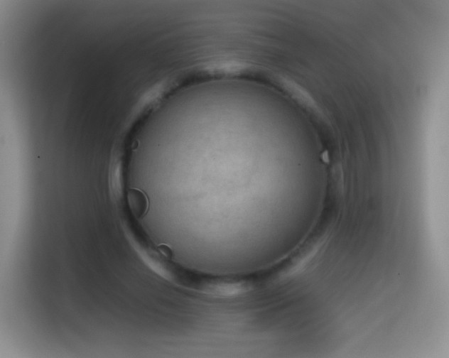 X0000114680638200910211211