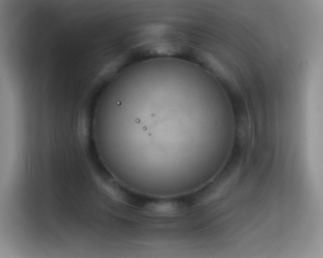 X0000114680639200910211211