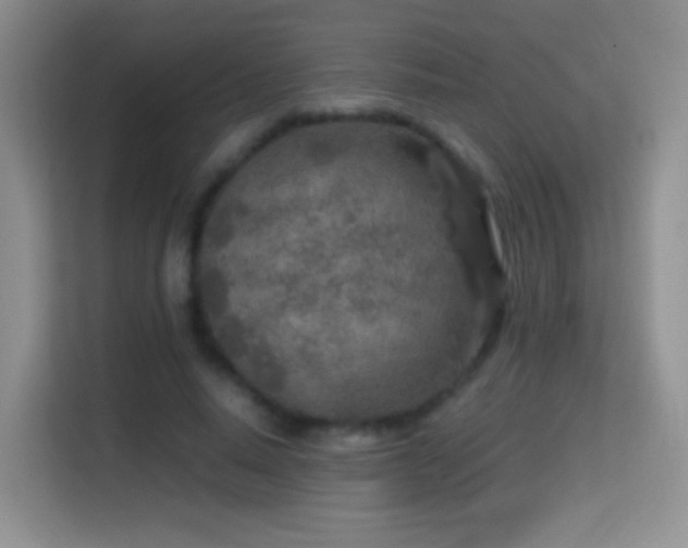 X0000114680640200910211211
