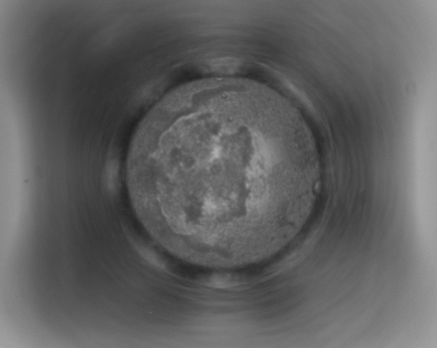 X0000114680641200910211211