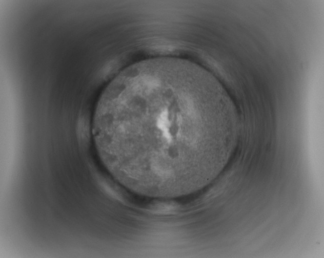 X0000114680642200910211211
