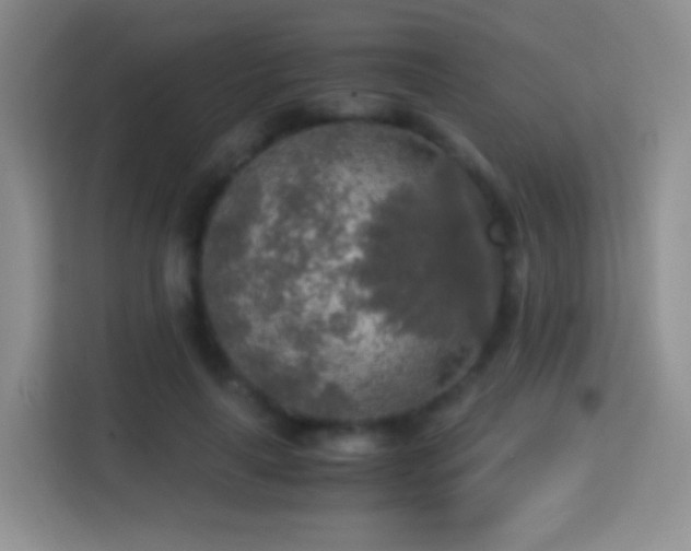 X0000114680643200910211211