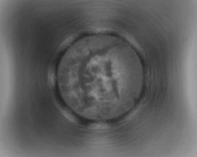 X0000114680644200910211211