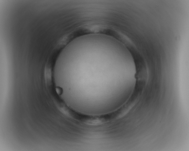 X0000114680646200910211211