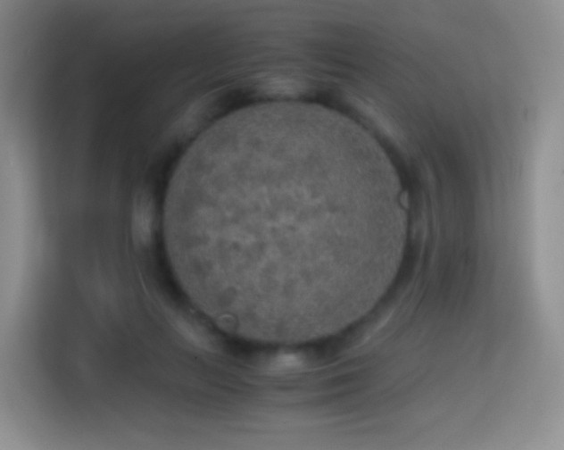 X0000114680647200910211211