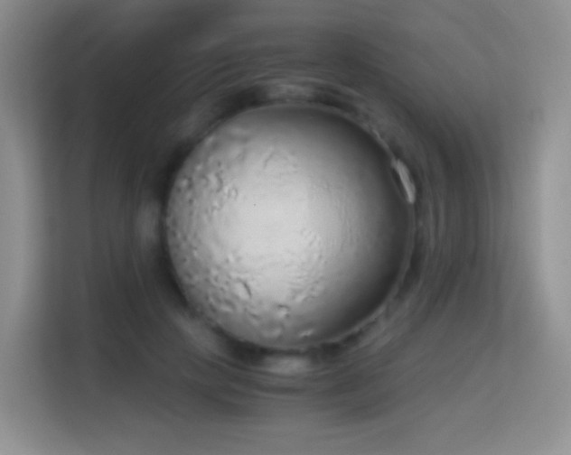 X0000114680649200910211211