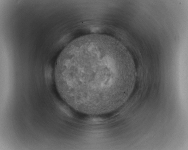 X0000114680650200910211211