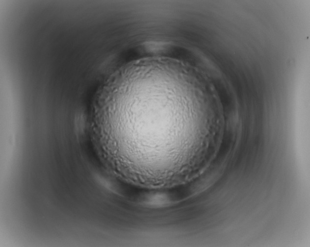 X0000114680651200910211211
