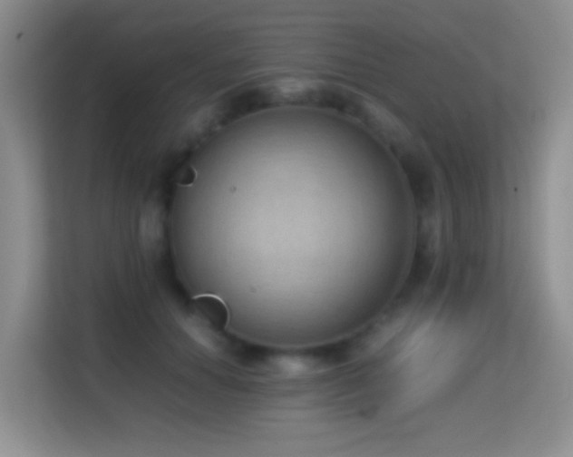 X0000114680654200910211211