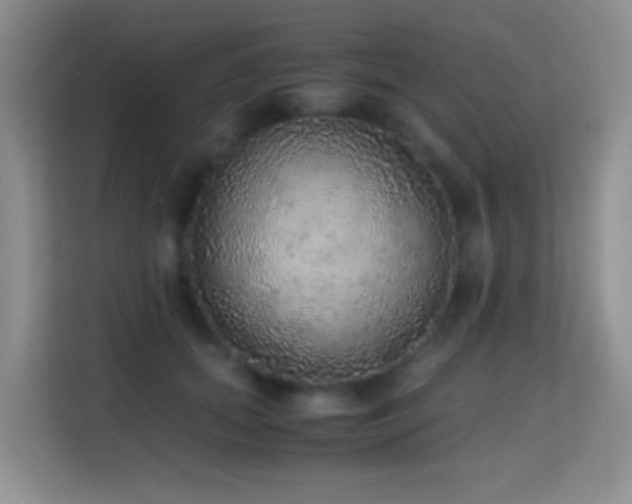 X0000114680655200910211211