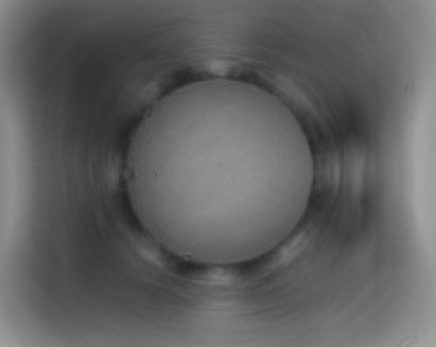 X0000114680656200910211211