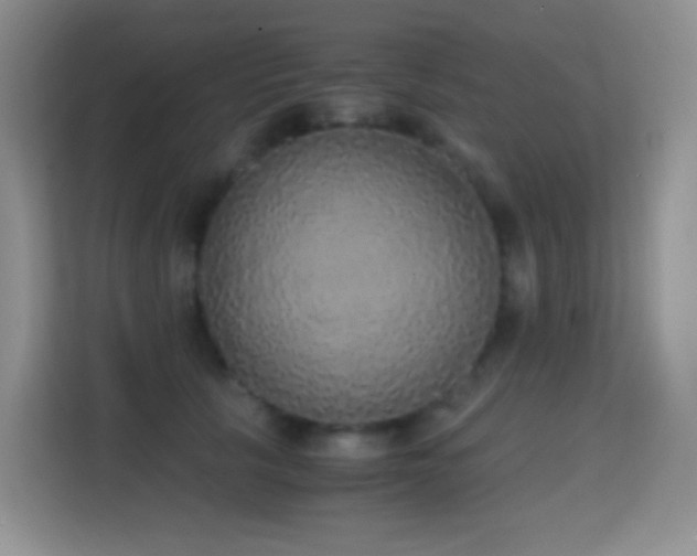 X0000114680657200910211211