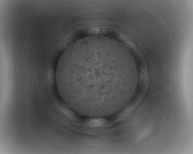 X0000114680659200910211211