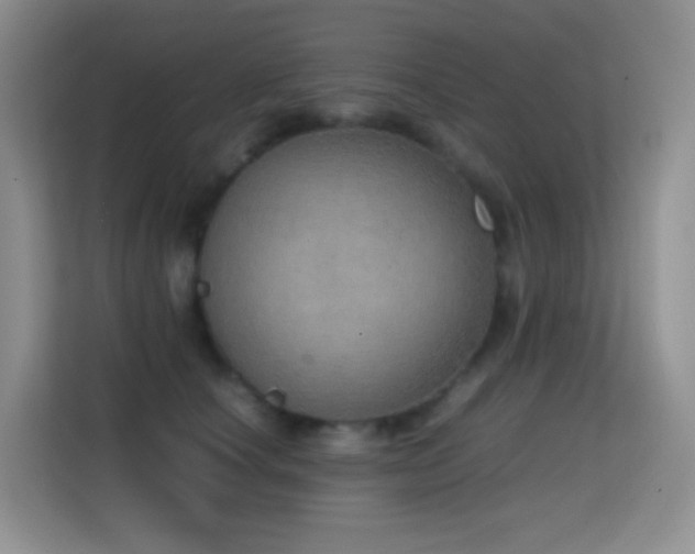 X0000114680660200910211211