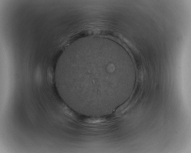 X0000114680661200910211211
