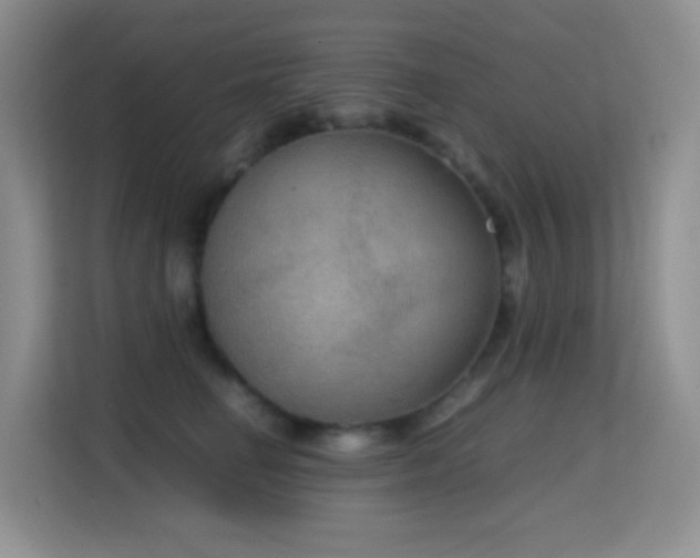 X0000114680662200910211211