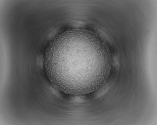 X0000114680664200910211211